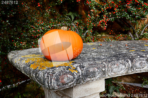 Image of Bright orange gourd on a stone bench