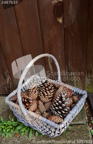 Image of Fir cones in a basket by a wooden door