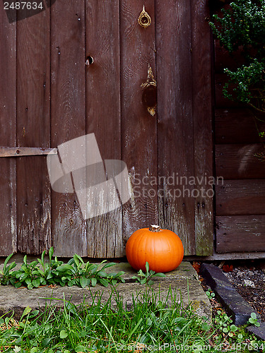 Image of Ripe pumpkin in front of a wooden door