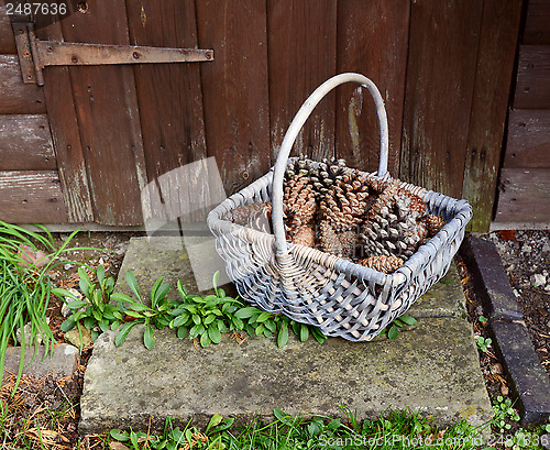 Image of Basket of fir cones on a stone step