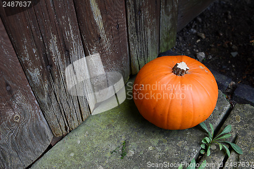 Image of Ripe pumpkin by a weathered door