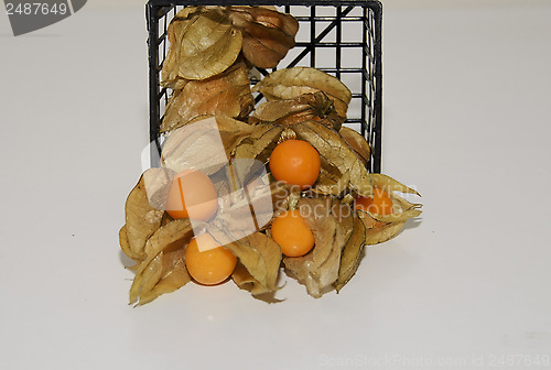 Image of Physalis in a basket