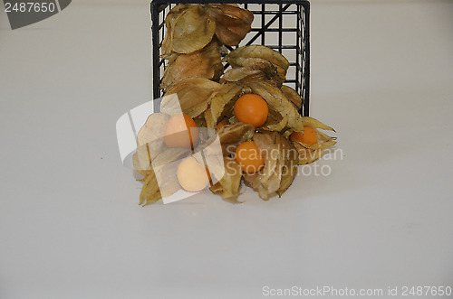 Image of Physalis in a basket