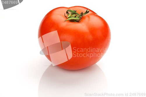 Image of Red Tomato