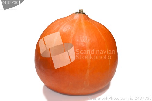 Image of Isolated pumpkin on white