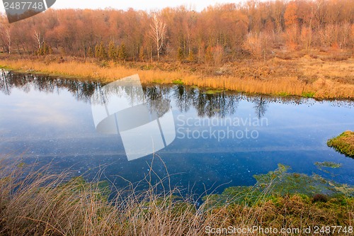 Image of Autumn trees reflected in the river