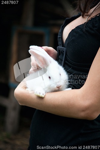 Image of Rabbit in the hands of the girl