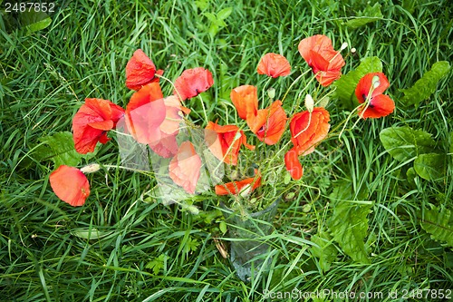 Image of red poppies in a vase standing in green grass