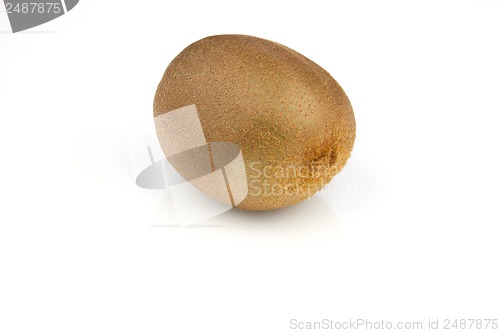 Image of Kiwi