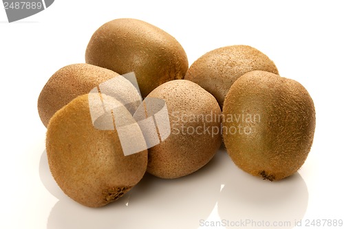 Image of Kiwi