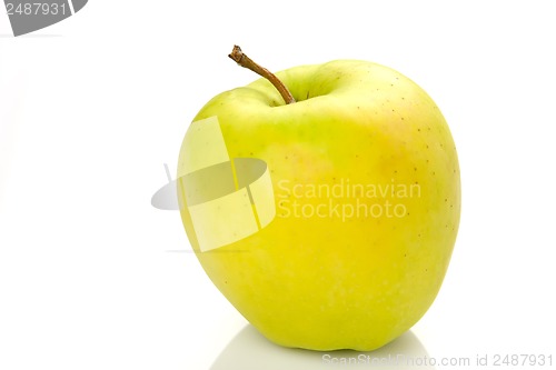 Image of apple