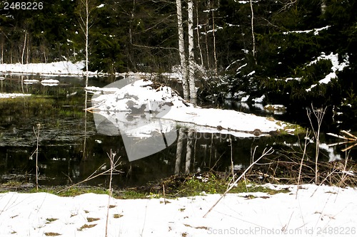 Image of forest and field  winter landscape