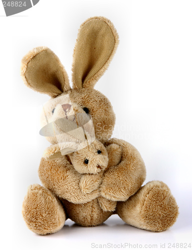 Image of Bunny rabbit cuddly toy