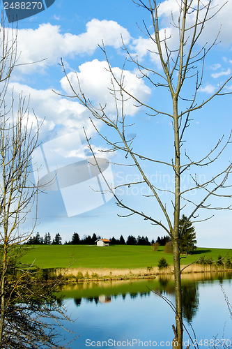 Image of beutiful landscape in spring lake and forest 