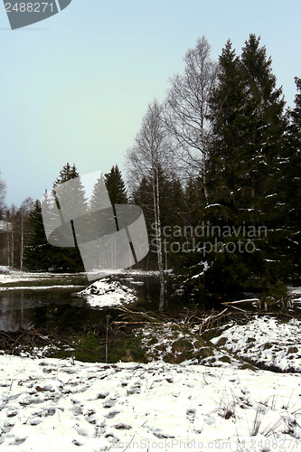 Image of forest and field  winter landscape