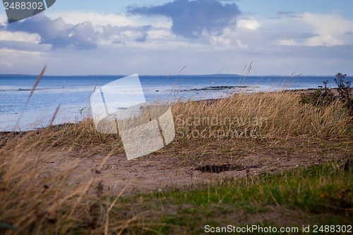 Image of beautiful landscape in autum baltic see green field blue sky