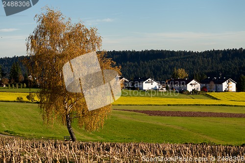 Image of beautiful autumn landscape with blue sky