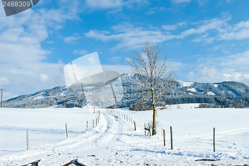 Image of beautiful sunny landscape in winter with blue sky