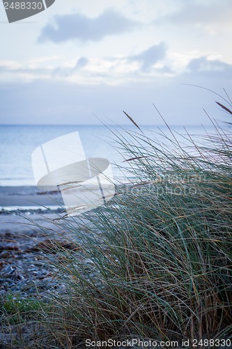 Image of beautiful landscape dunes baltic sea in autumn winter