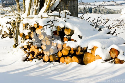 Image of forest and field  winter landscape