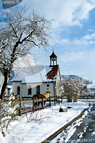 Image of forest and field  winter landscape