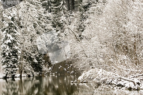 Image of forest and field  winter landscape