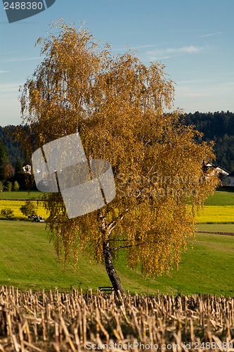 Image of beautiful autumn landscape with blue sky