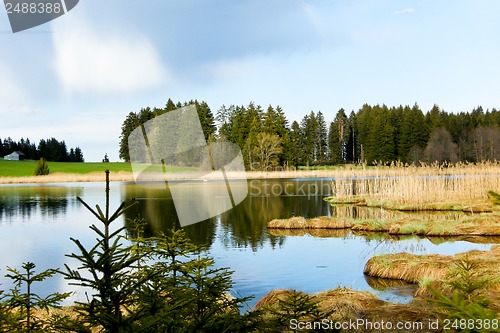 Image of beutiful landscape in spring lake and forest 