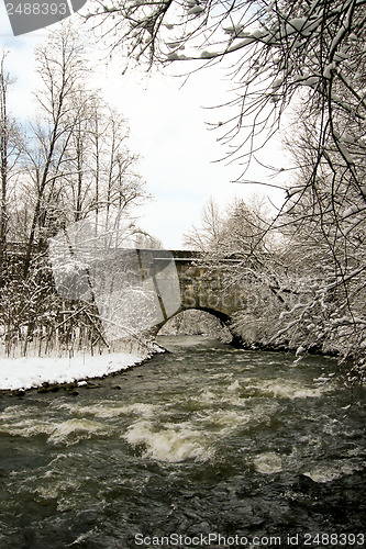 Image of forest and field  winter landscape