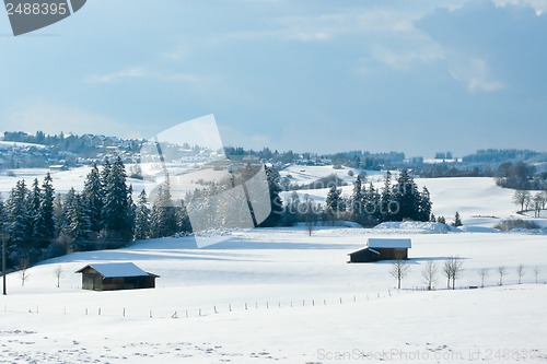 Image of forest and field  winter landscape