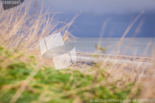 Image of beautiful landscape dunes baltic sea in autumn winter