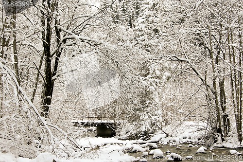 Image of forest and field  winter landscape