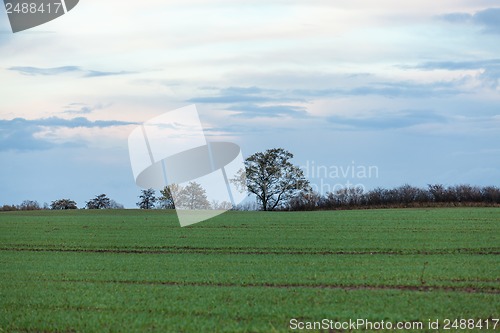 Image of beautiful landscape of green farmland and blue sky