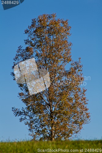 Image of beautiful autumn landscape with blue sky