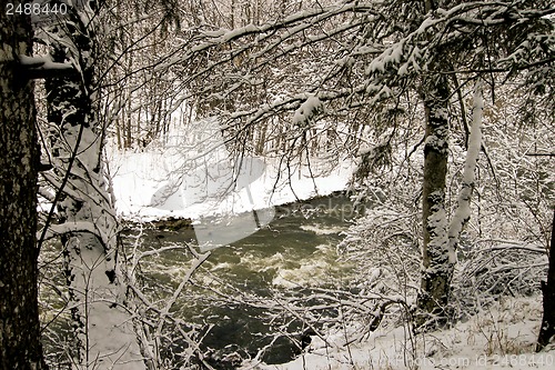 Image of forest and field  winter landscape