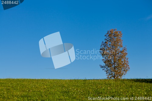 Image of beautiful autumn landscape with blue sky