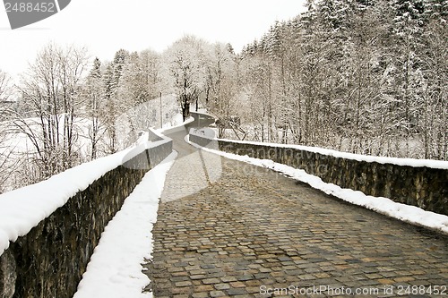 Image of forest and field  winter landscape