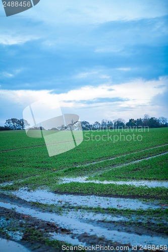 Image of beautiful landscape of green farmland and blue sky