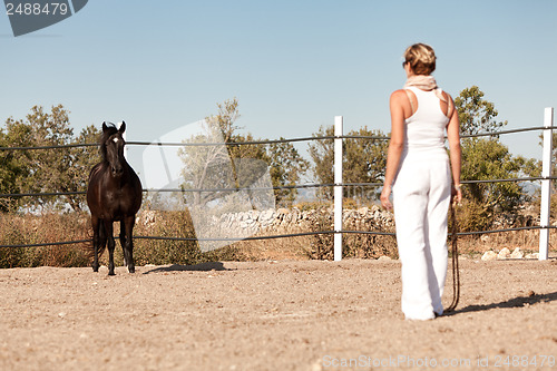 Image of young woman training horse outside in summer