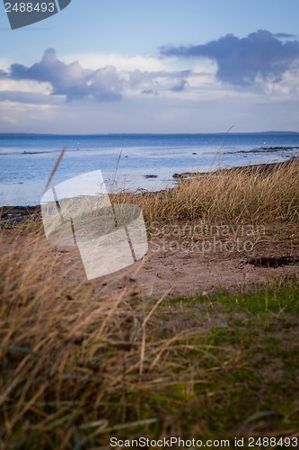 Image of beautiful landscape in autum baltic see green field blue sky