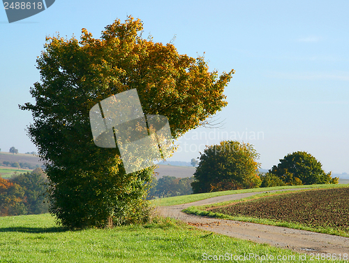 Image of rural autumn scenery