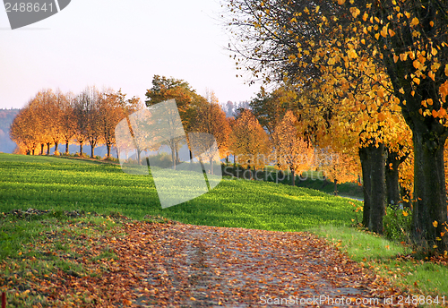 Image of autumn scenery