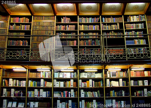 Image of Big Library