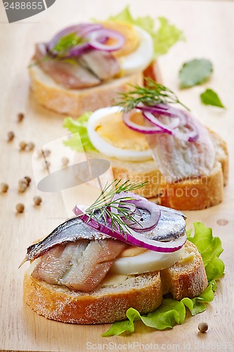 Image of sandwich with egg and anchovies