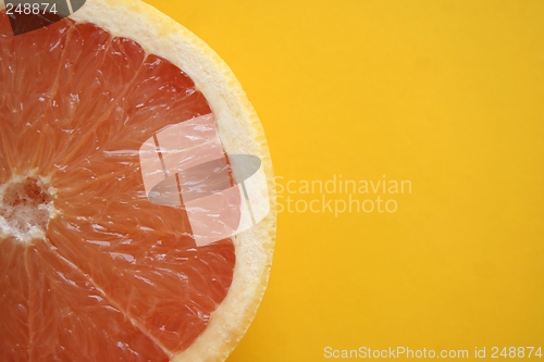 Image of Grapefruit