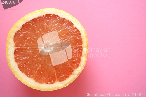 Image of Grapefruit