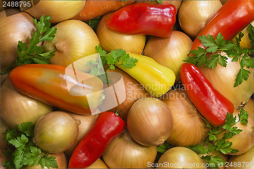 Image of Red, yellow , green pepper, onion and parsley leaves.