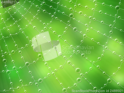 Image of Cobweb after rain, illustration