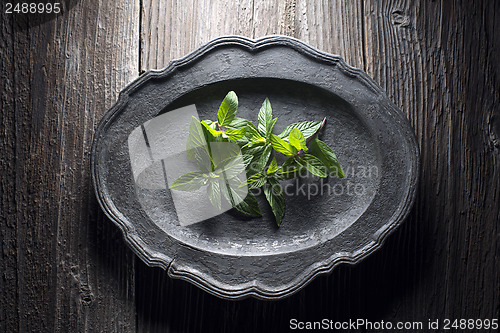 Image of Mint