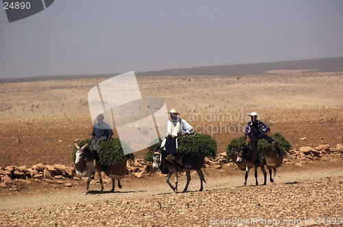 Image of men riding donkeys